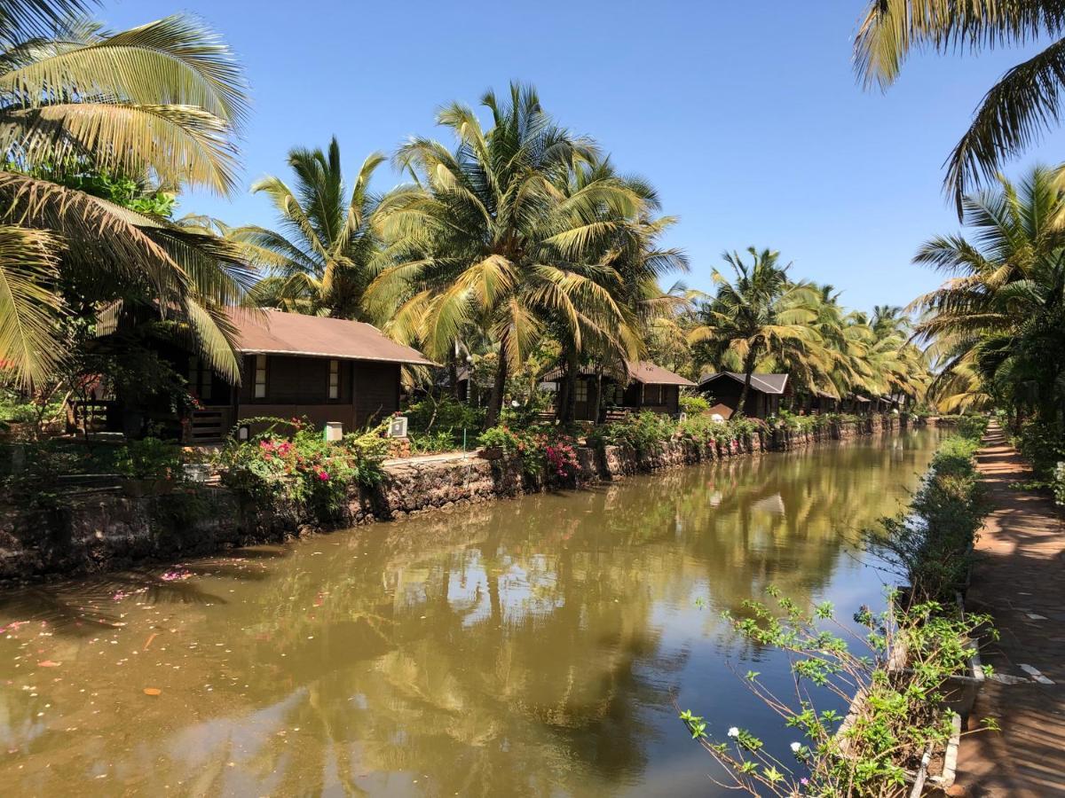 Resort Primo Bom Terra Verde Baga Bagian luar foto