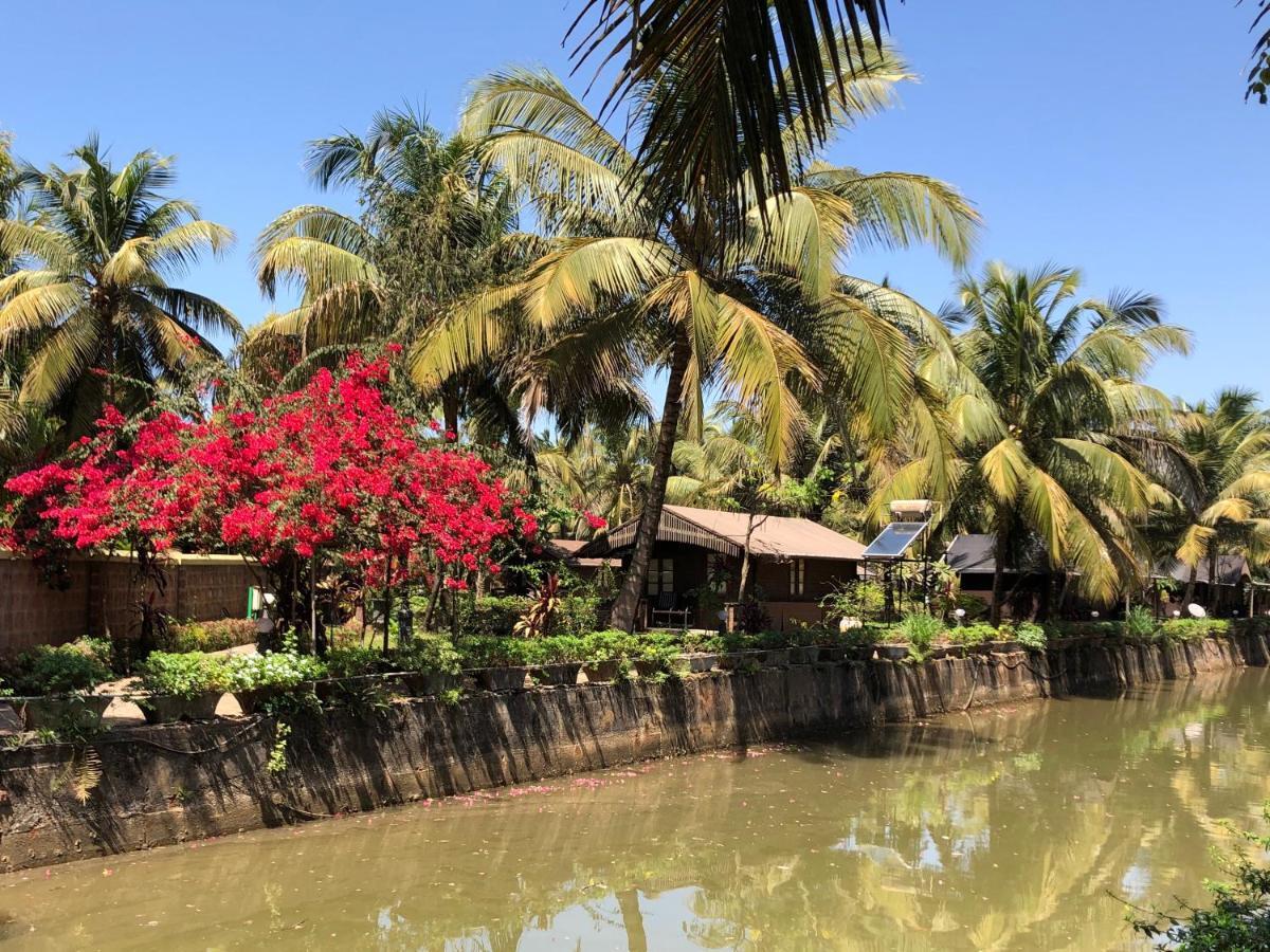 Resort Primo Bom Terra Verde Baga Bagian luar foto